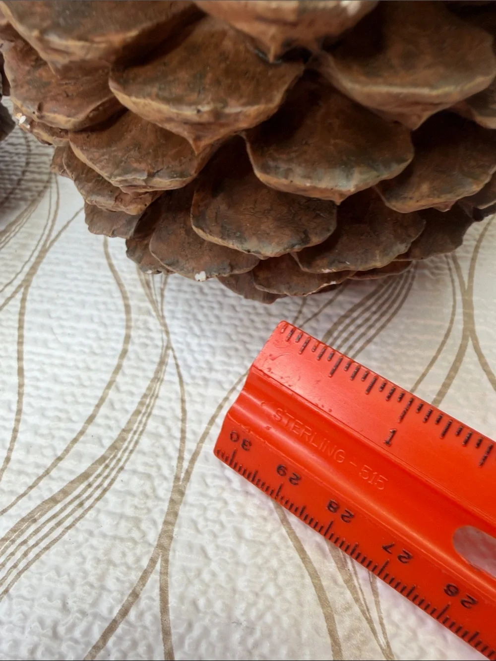 Brown Pinecone Candle Holders - Set of 2